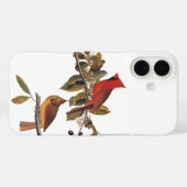 Audubon Kardinal Pair in Wild-Almond-Tree Case-Mate iPhone Hülle (Rückseite (Horizontal))