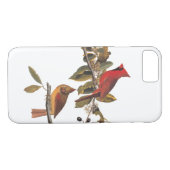 Audubon Kardinal Pair in Wild-Almond-Tree Case-Mate iPhone Hülle (Rückseite (Horizontal))