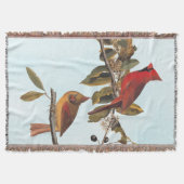 Audubon Kardinal Pair in Wild-Almond-Tree Decke (Vorderseite)