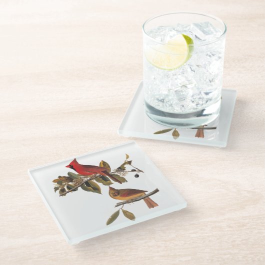 Audubon Kardinal Pair in Wild-Almond-Tree Glasuntersetzer (Schrägansicht)