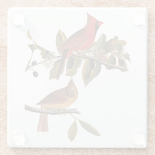 Audubon Kardinal Pair in Wild-Almond-Tree Glasuntersetzer (Rückseite)