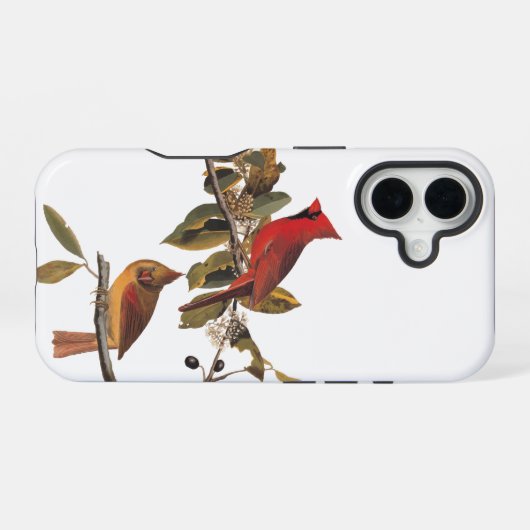 Audubon Kardinal Pair in Wild-Almond-Tree iPhone 16 Hülle (Rückseite (Horizontal))