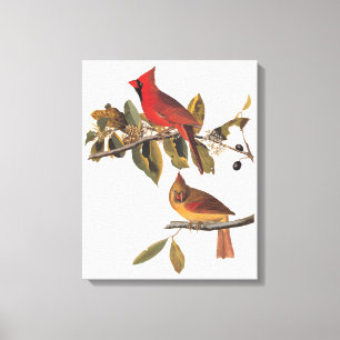 Audubon Kardinal Pair in Wild-Almond-Tree Leinwanddruck