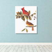Audubon Kardinal Pair in Wild-Almond-Tree Leinwanddruck (Insitu (Holzboden))