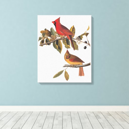 Audubon Kardinal Pair in Wild-Almond-Tree Leinwanddruck (Insitu (Holzboden))
