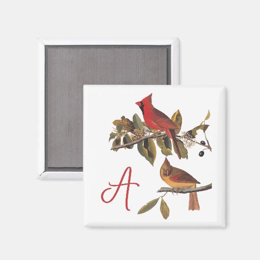 Audubon Kardinal Pair in Wild-Almond-Tree Magnet (Vorderseite/Rückseite)
