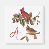 Audubon Kardinal Pair in Wild-Almond-Tree Magnet (Vorne)