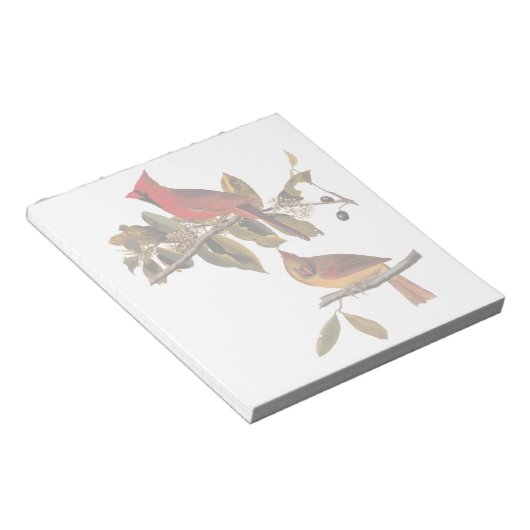 Audubon Kardinal Pair in Wild-Almond-Tree Notizblock (angewinkelt)