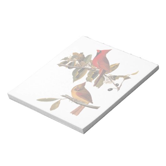 Audubon Kardinal Pair in Wild-Almond-Tree Notizblock (Rotiert)