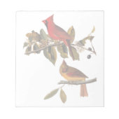 Audubon Kardinal Pair in Wild-Almond-Tree Notizblock (Vorderseite)