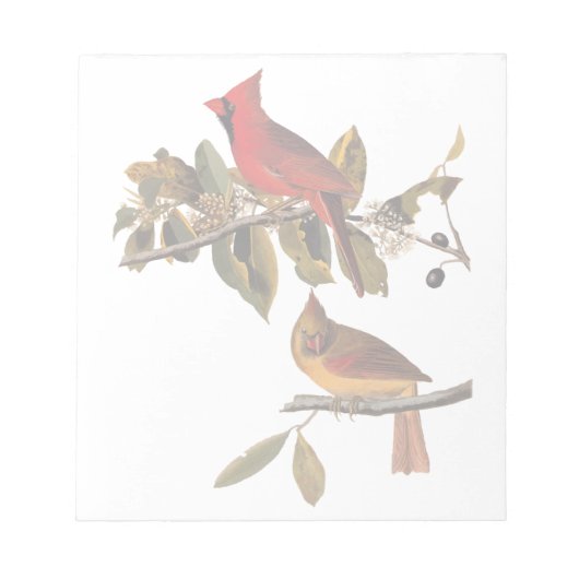 Audubon Kardinal Pair in Wild-Almond-Tree Notizblock (Vorderseite)