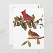 Audubon Kardinal Pair in Wild-Almond-Tree Postkarte (Vorne/Hinten)