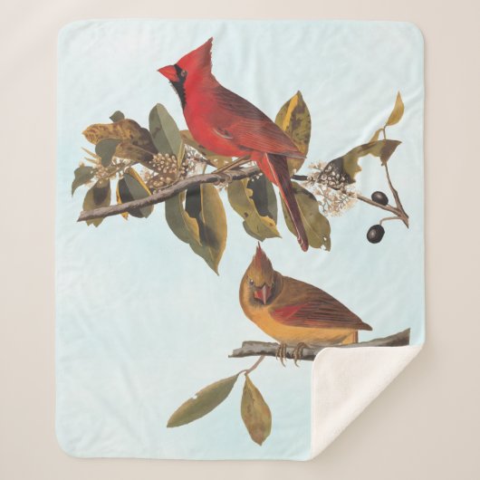 Audubon Kardinal Pair in Wild-Almond-Tree Sherpadecke (Vorderseite)