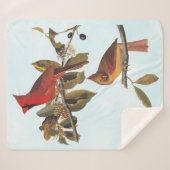 Audubon Kardinal Pair in Wild-Almond-Tree Sherpadecke (Vorderseite (Horizontal))