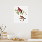 Audubon Kardinal Poster (Küche)