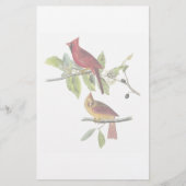 Audubon Kardinals-Briefpapier Briefpapier (Vorderseite)