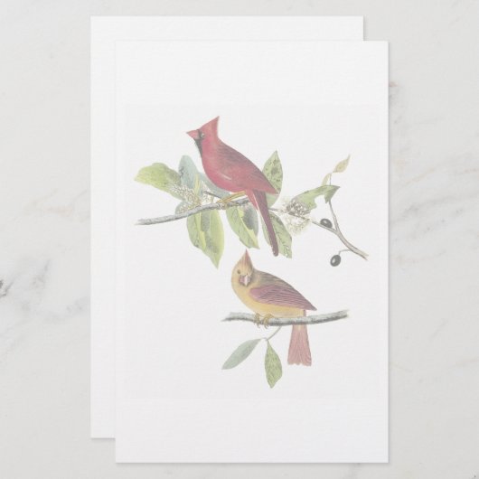 Audubon Kardinals-Briefpapier Briefpapier (Vorne/Hinten)