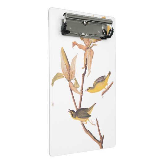 Audubon Kentucky Warblers auf Magnolia Mini Klemmbrett (Schrägansicht)