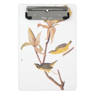 Audubon Kentucky Warblers auf Magnolia Mini Klemmbrett