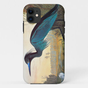 Audubon: Kleines Blau-Reiher Case-Mate iPhone Hülle