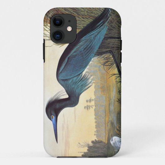 Audubon: Kleines Blau-Reiher Case-Mate iPhone Hülle (Rückseite)