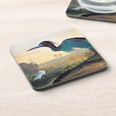 Audubon: Kleines Blau-Reiher Getränkeuntersetzer (Linke Seite)