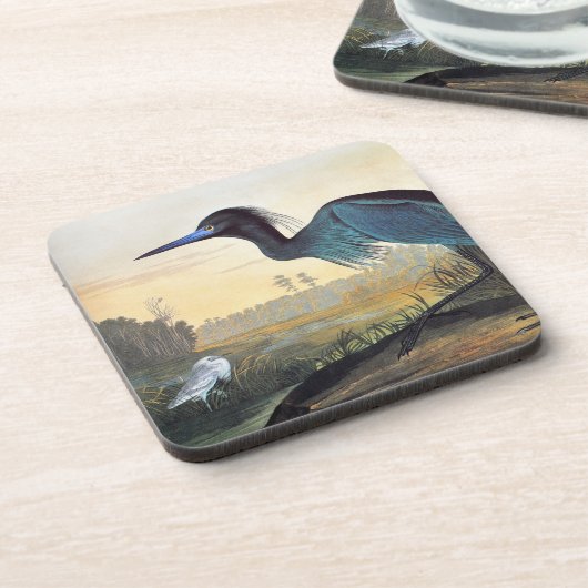 Audubon: Kleines Blau-Reiher Getränkeuntersetzer (Linke Seite)