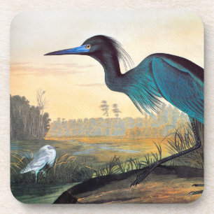 Audubon: Kleines Blau-Reiher Getränkeuntersetzer