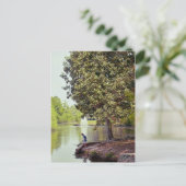 Audubon Lagoon Postkarte (Stehend Vorderseite)