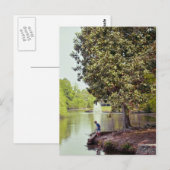 Audubon Lagoon Postkarte (Vorne/Hinten)
