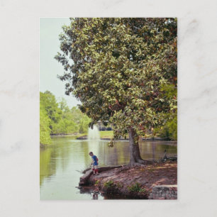 Audubon Lagoon Postkarte