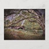 Audubon Lagoon Postkarte (Vorderseite)