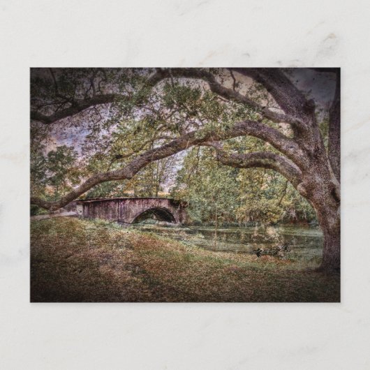 Audubon Lagoon Postkarte (Vorderseite)