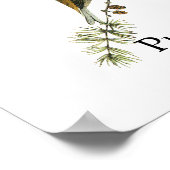 Audubon Lila Finch Poster (Ecke)