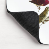 Audubon lila Fink Mousepad (Ecke)