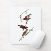 Audubon lila Fink Mousepad (Mit Mouse)