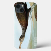 Audubon: Limpkin Case-Mate iPhone Hülle (Rückseite)