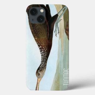 Audubon: Limpkin Case-Mate iPhone Hülle