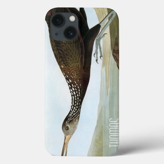 Audubon: Limpkin Case-Mate iPhone Hülle (Rückseite)