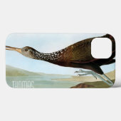 Audubon: Limpkin Case-Mate iPhone Hülle (Rückseite (Horizontal))