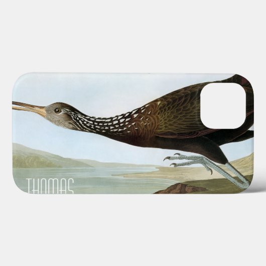 Audubon: Limpkin Case-Mate iPhone Hülle (Rückseite (Horizontal))