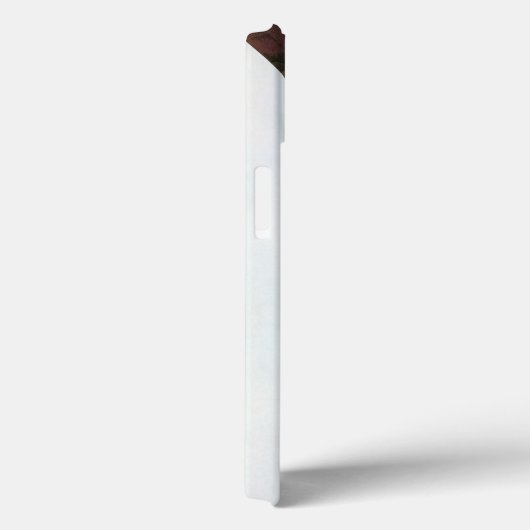 Audubon: Limpkin Case-Mate iPhone Hülle (Rückseite / Rechts)