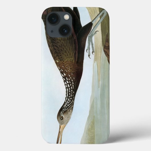 Audubon: Limpkin Case-Mate iPhone Hülle (Rückseite)