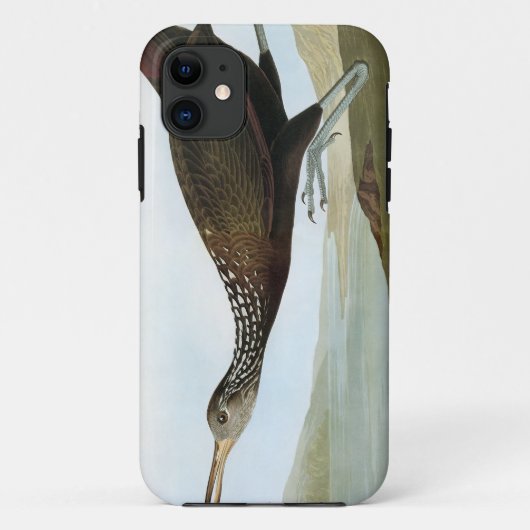Audubon: Limpkin Case-Mate iPhone Hülle (Rückseite)