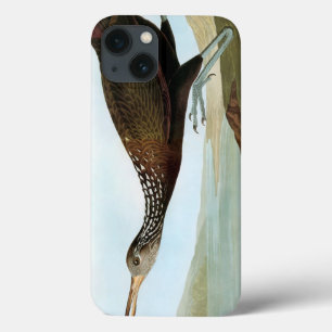 Audubon: Limpkin Case-Mate iPhone Hülle
