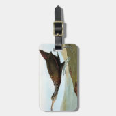 Audubon: Limpkin Gepäckanhänger (Vorderseite vertikal)