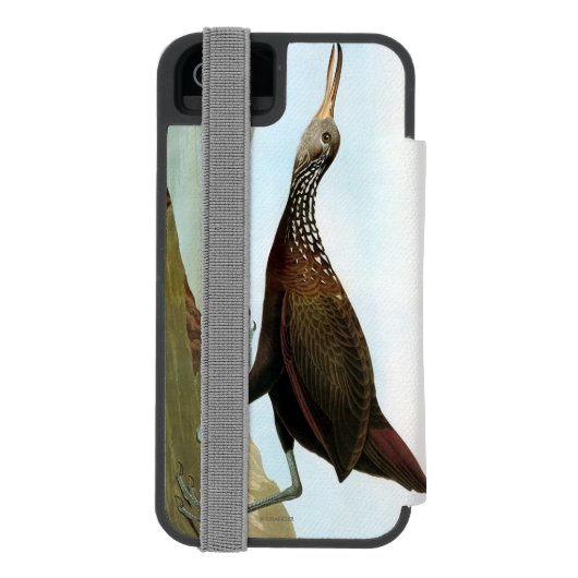 Audubon: Limpkin Incipio iPhone Geldbeutel-Hülle (Folio Rückseite)