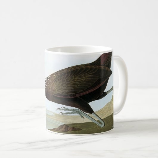Audubon: Limpkin Kaffeetasse (VorderseiteRechts)