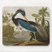 Audubon Little Blue Herde Mousepad (Vorne)