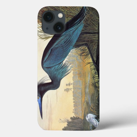 Audubon: Little Blue Heron Case-Mate iPhone Hülle (Rückseite)